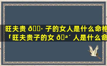 旺夫贵 🕷 子的女人是什么命格「旺夫贵子的女 🪴 人是什么命格的」